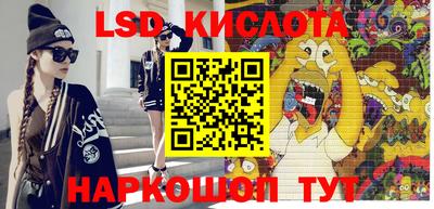 стафф Гатчина