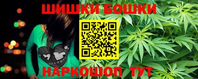 стафф Гатчина