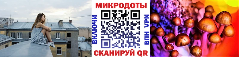 Галлюциногенные грибы Psilocybine cubensis  закладки  Богданович 