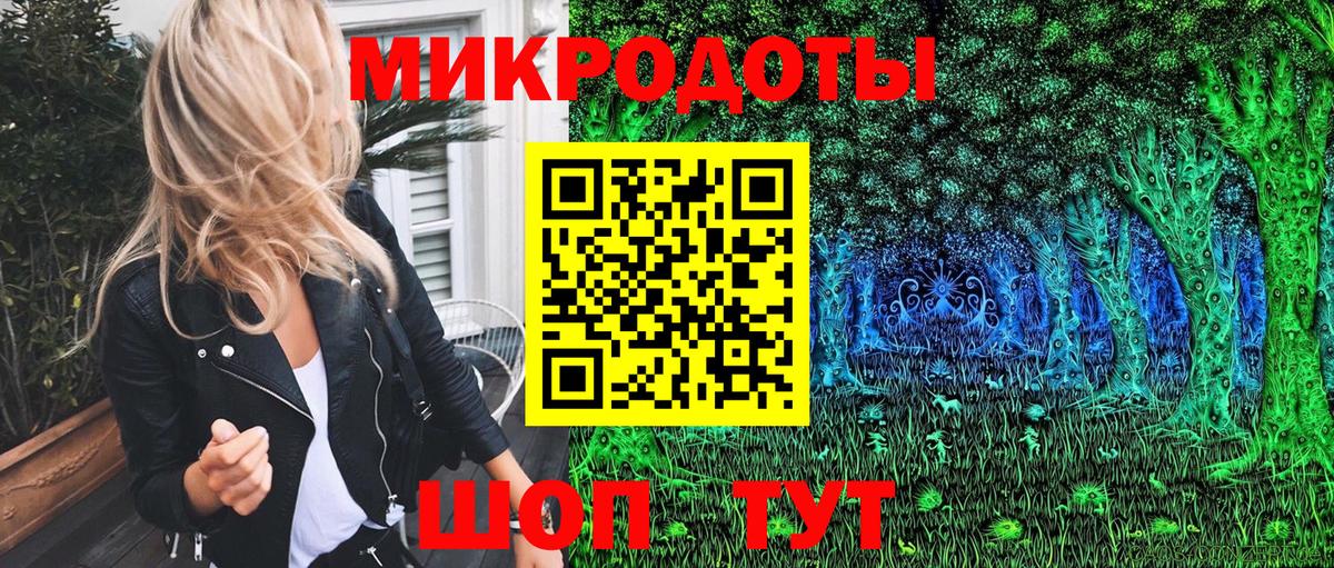 Галлюциногенные грибы мицелий Богданович